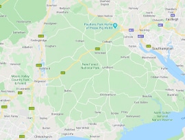 New Forest New Forest